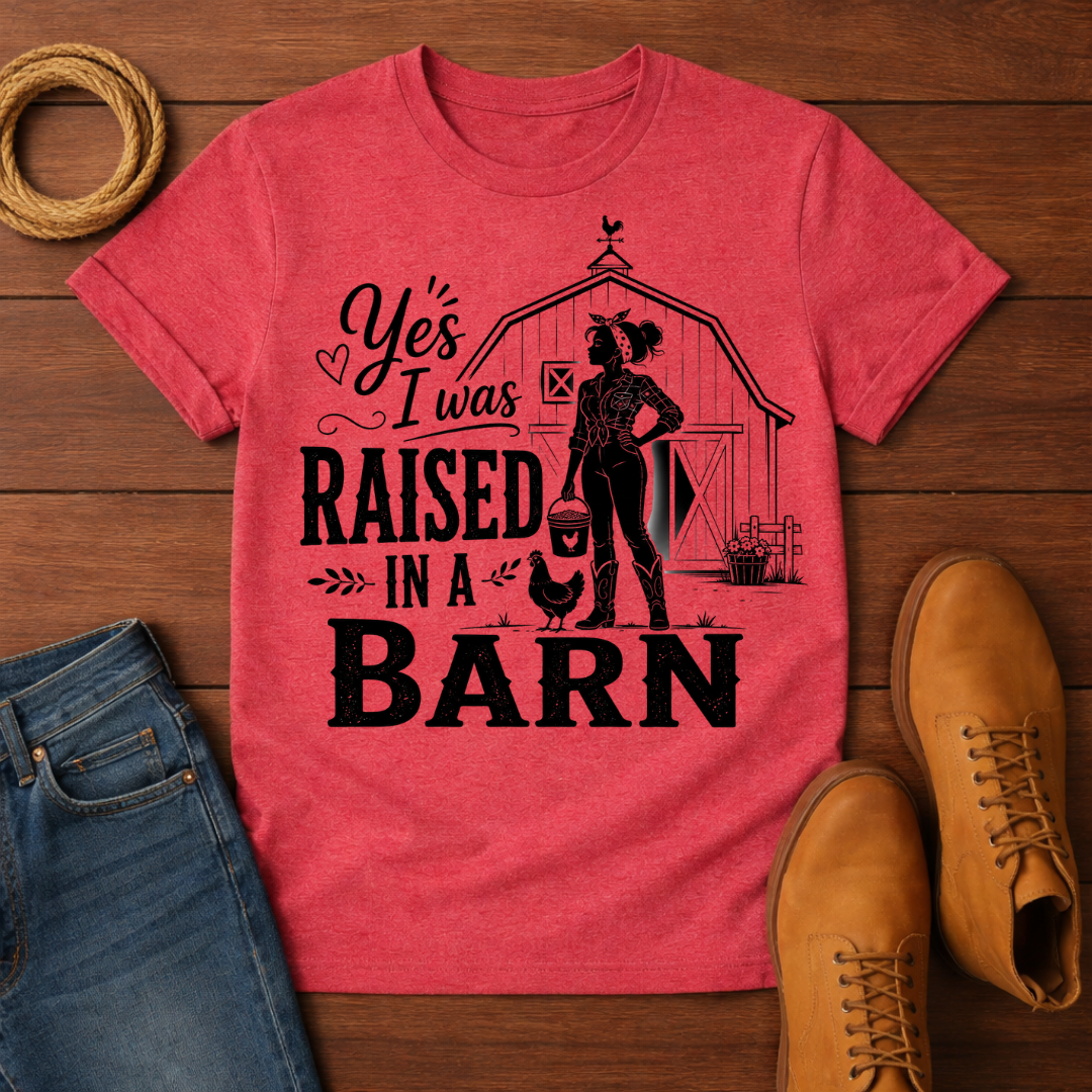 Raised In A Barn 3 T-Shirt